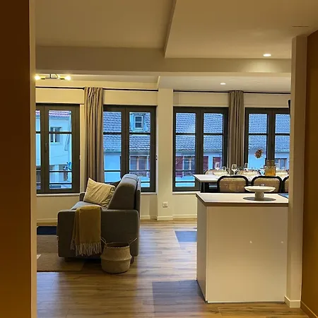 Et Meublé De Tourisme Appartamento Altkirch